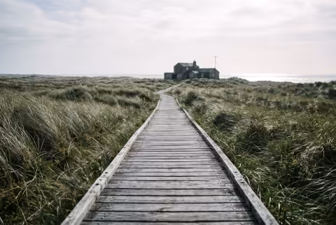 Boardwalk toward the field station, wide — Landing page imagery, coastal hero.